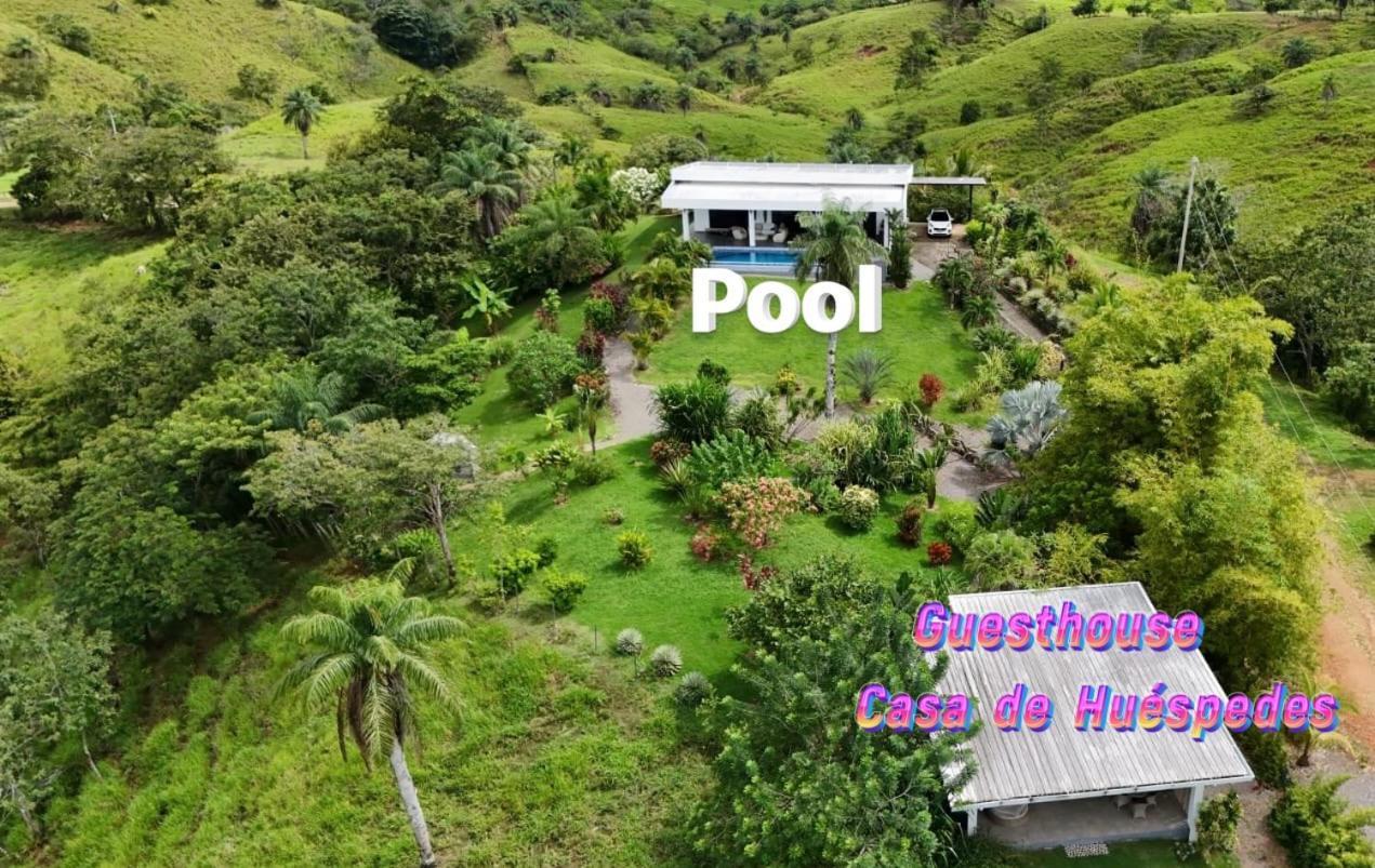 Finca Colibri Бока-Чіка Екстер'єр фото